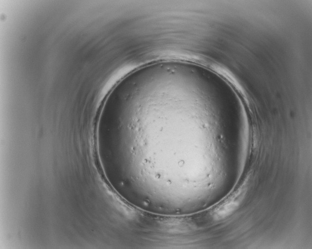 X0000062171048200512121235