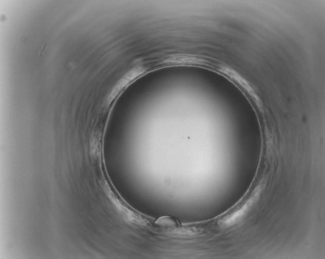 X0000062171049200512121235