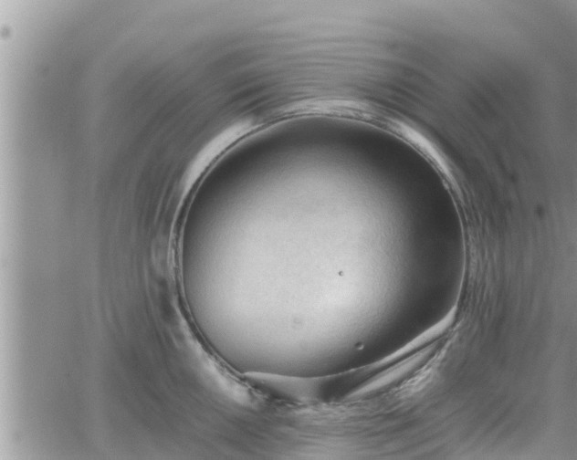 X0000062171050200512121235