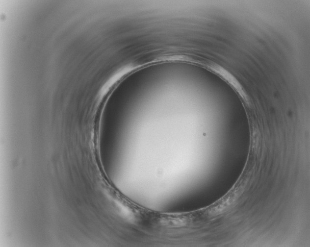 X0000062171051200512121235