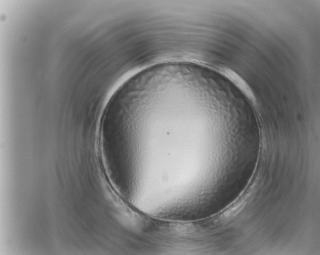 X0000062171052200512121235