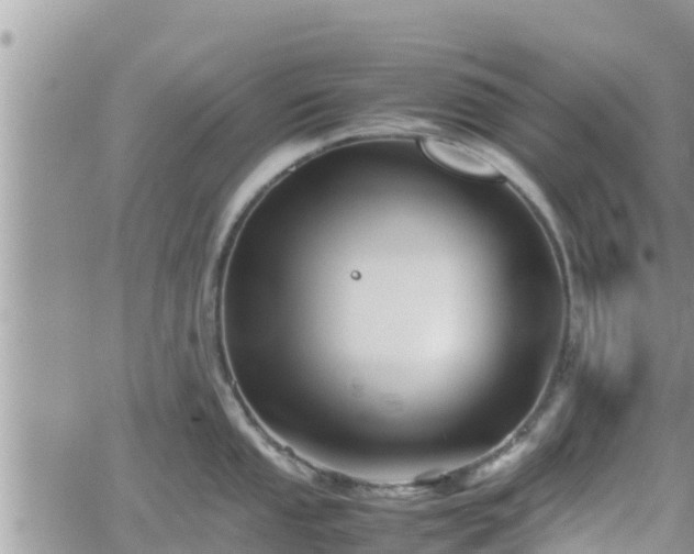 X0000062171053200512121235