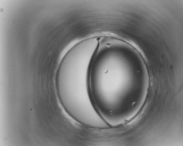 X0000062171054200512121235