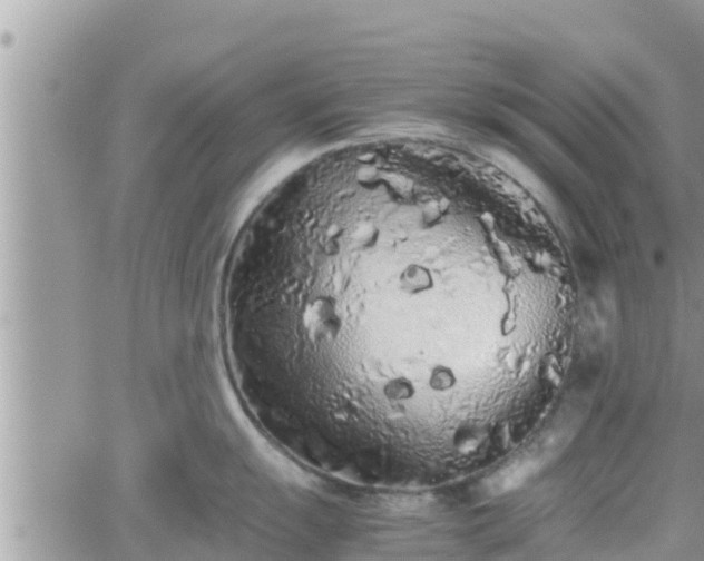 X0000062171055200512121235