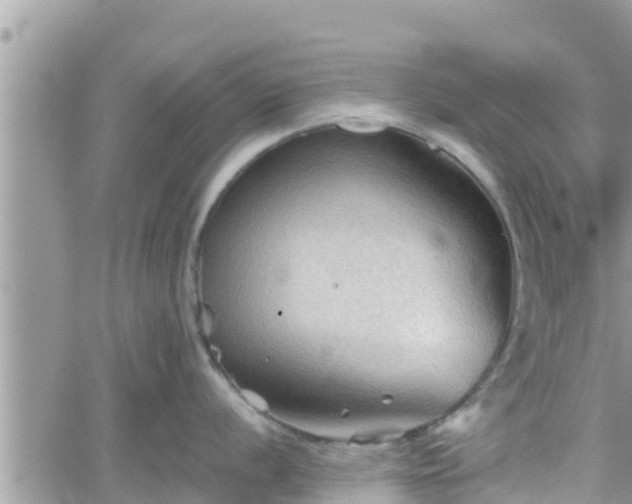 X0000062171056200512121235