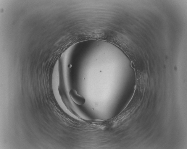 X0000062171058200512121235