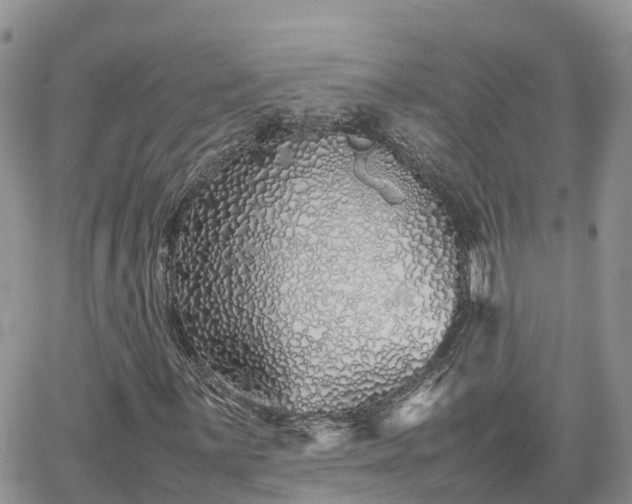 X0000062171059200512121235