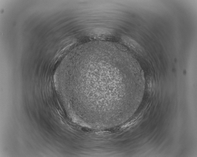 X0000062171060200512121235