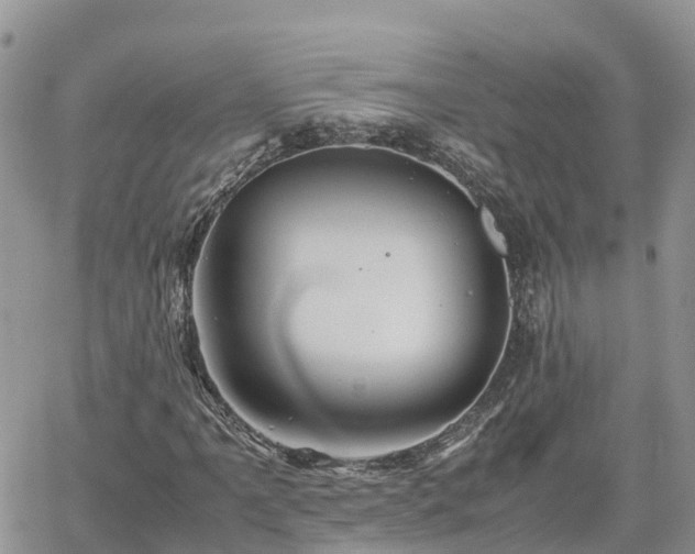 X0000062171061200512121235