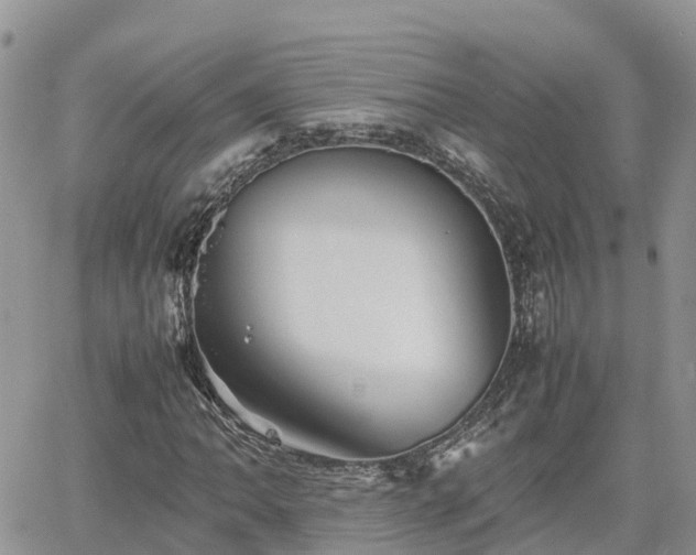 X0000062171062200512121235