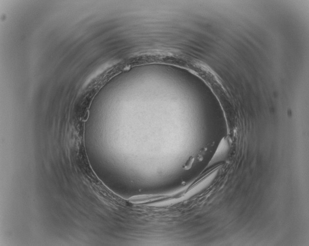 X0000062171064200512121235