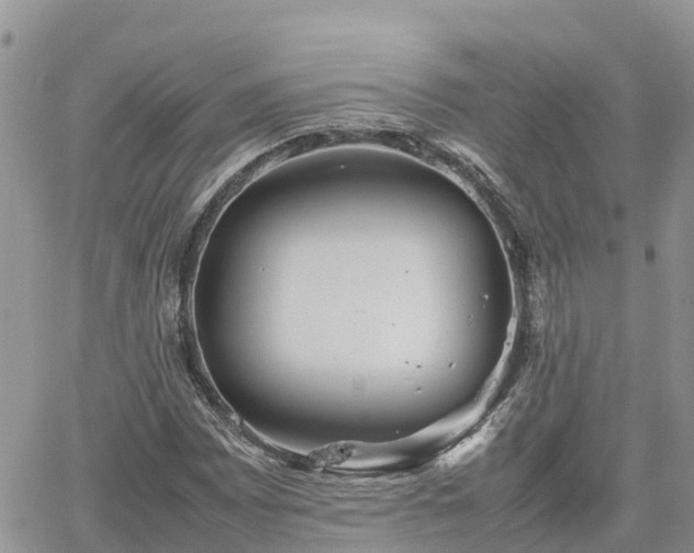 X0000062171065200512121235