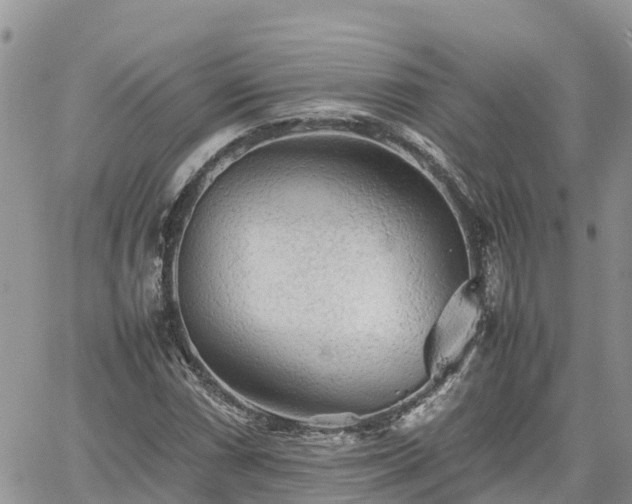 X0000062171066200512121235