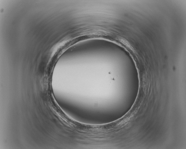 X0000062171067200512121235