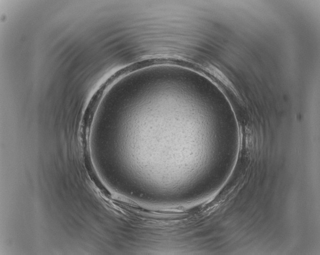 X0000062171068200512121235