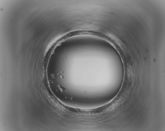 X0000062171069200512121234