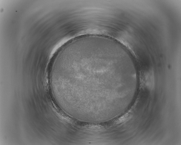 X0000062171070200512121234