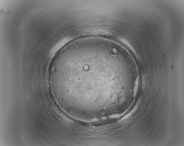 X0000062171071200512121234