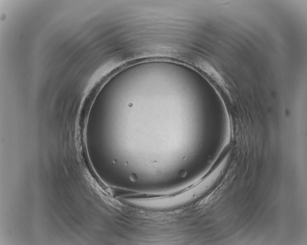 X0000062171072200512121234