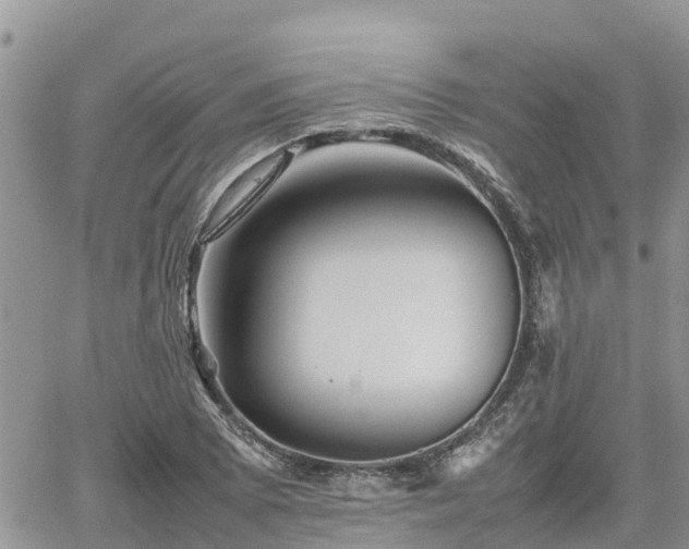 X0000062171073200512121234