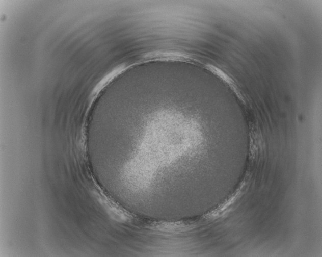 X0000062171074200512121234