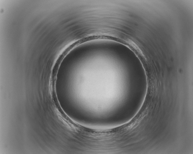 X0000062171076200512121234