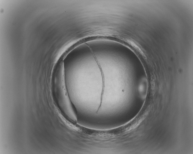 X0000062171077200512121234