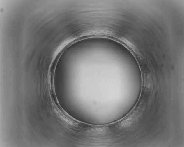 X0000062171078200512121234