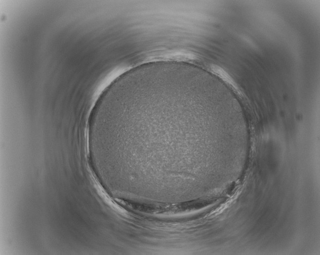 X0000062171079200512121234