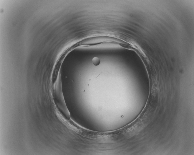 X0000062171080200512121234