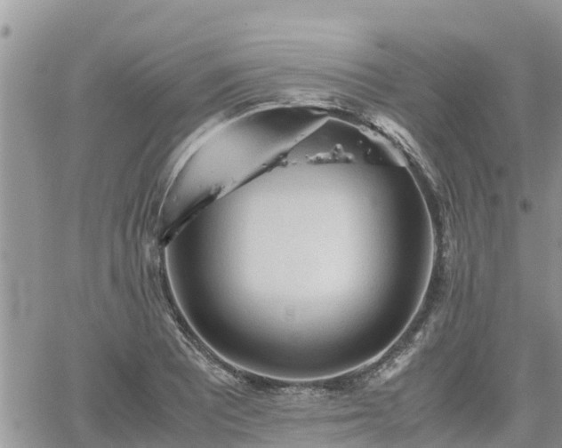 X0000062171081200512121234