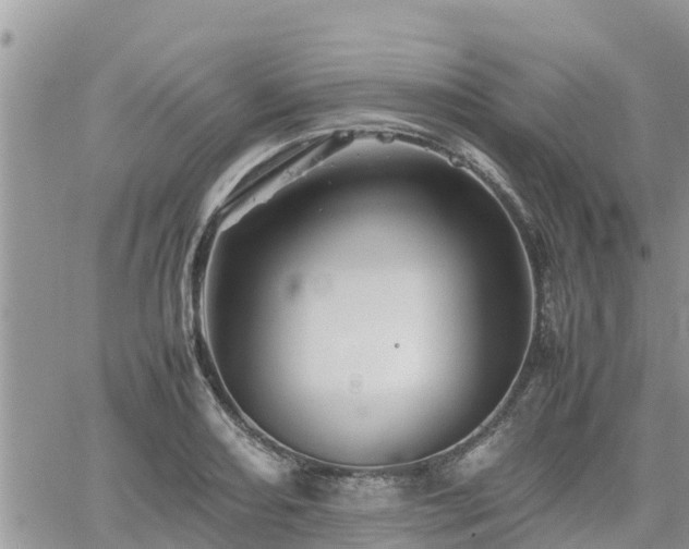 X0000062171082200512121234