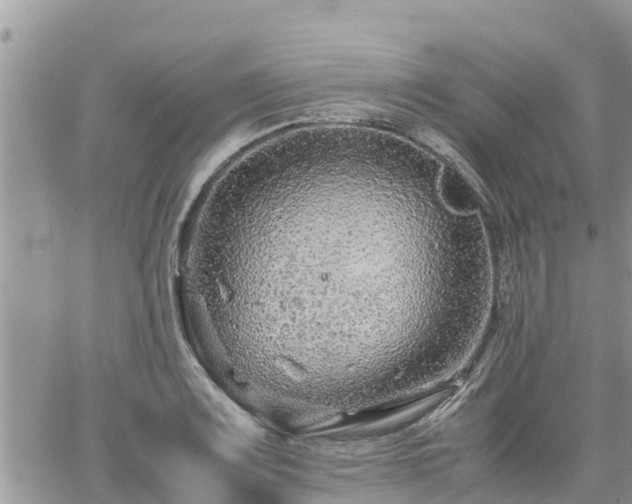 X0000062171083200512121234