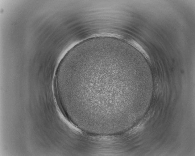 X0000062171084200512121234