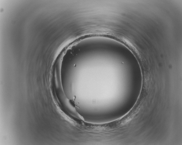 X0000062171085200512121234