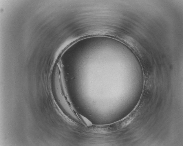 X0000062171086200512121234