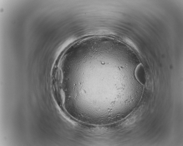 X0000062171087200512121234