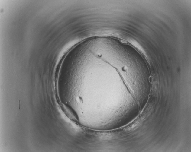 X0000062171088200512121234