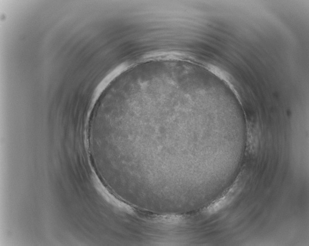 X0000062171090200512121234