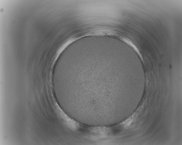 X0000062171091200512121234