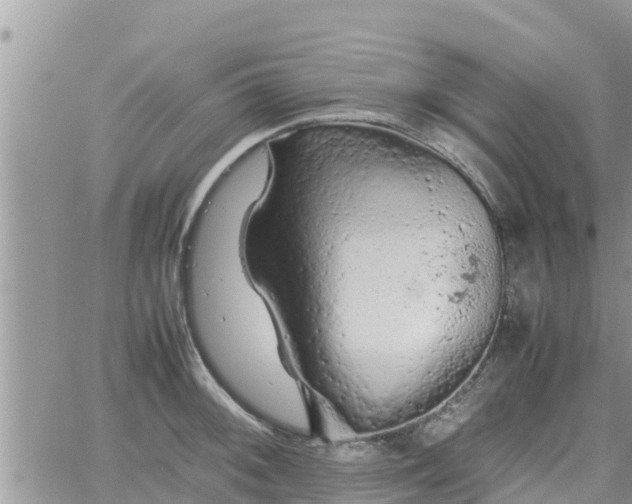 X0000062171092200512121234