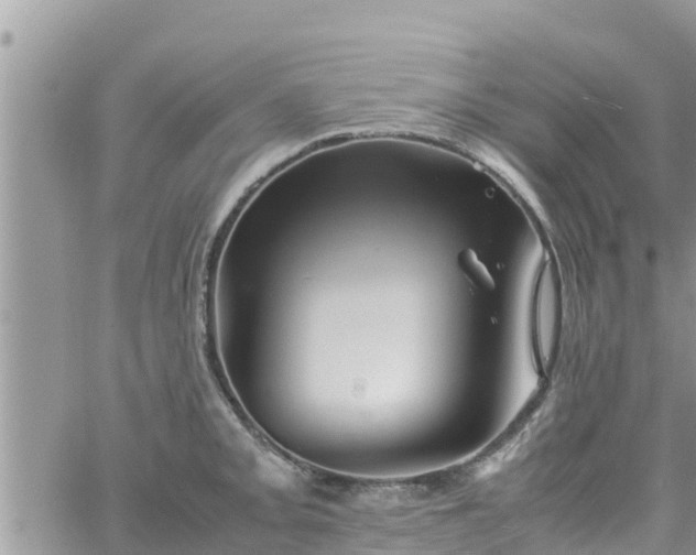 X0000062171093200512121234