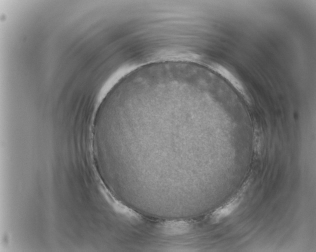 X0000062171094200512121234