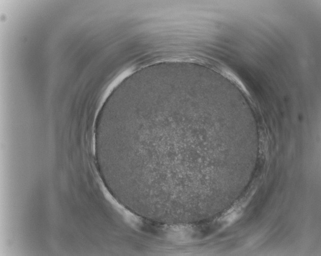 X0000062171095200512121234