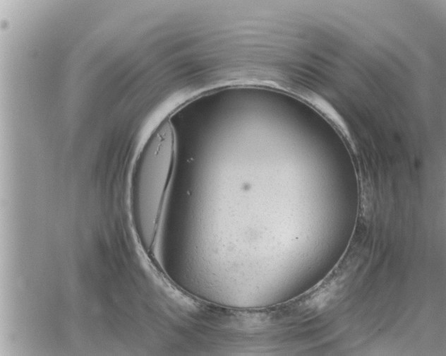 X0000062171096200512121234