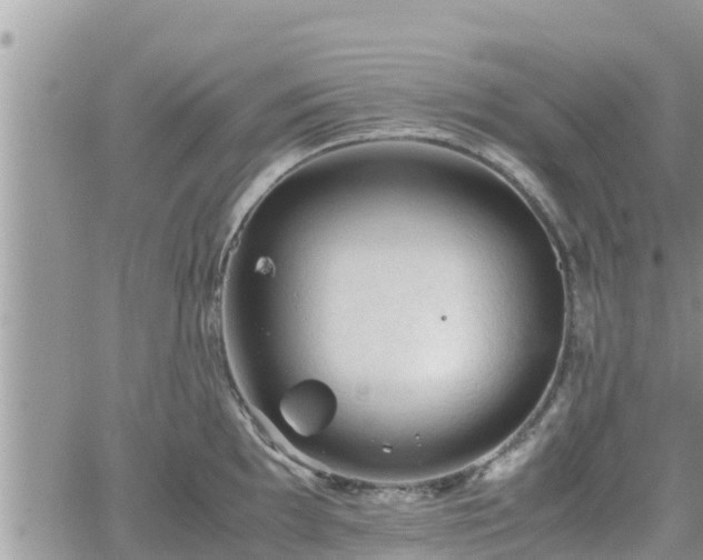 X0000062171097200512121234