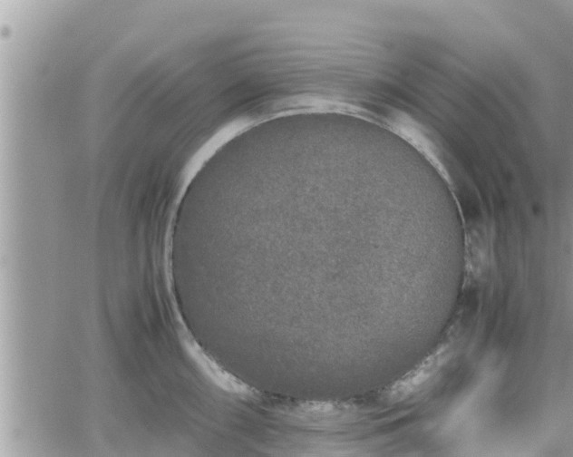 X0000062171098200512121234