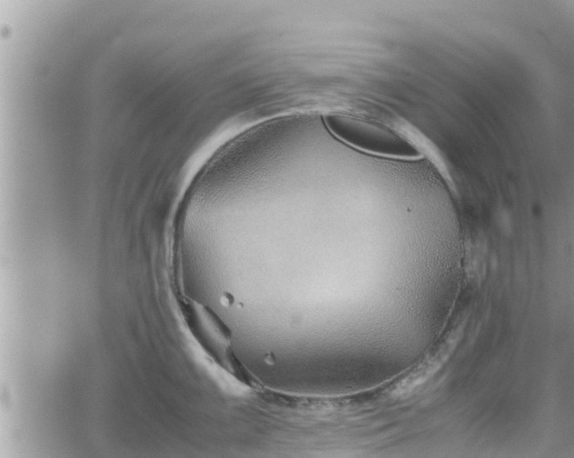 X0000062171099200512121234