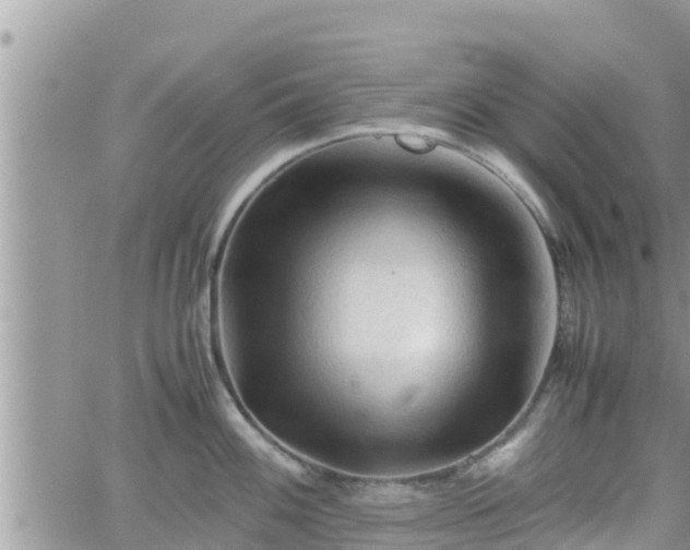 X0000062171100200512121234