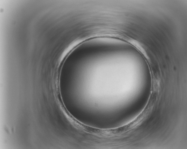 X0000062171101200512121234